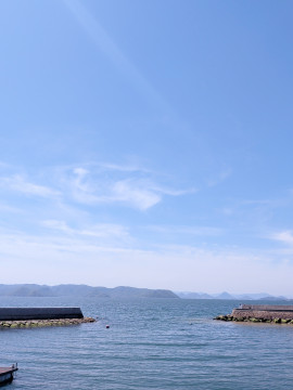 海