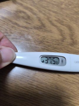 めめちゃんちゃんの昨日 08:03のブログ