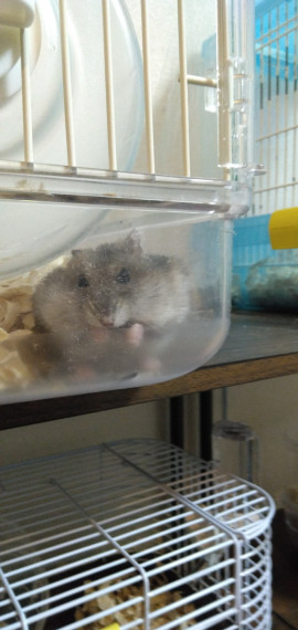 ちぃちゃんの4/25 (土) 10:11のブログ