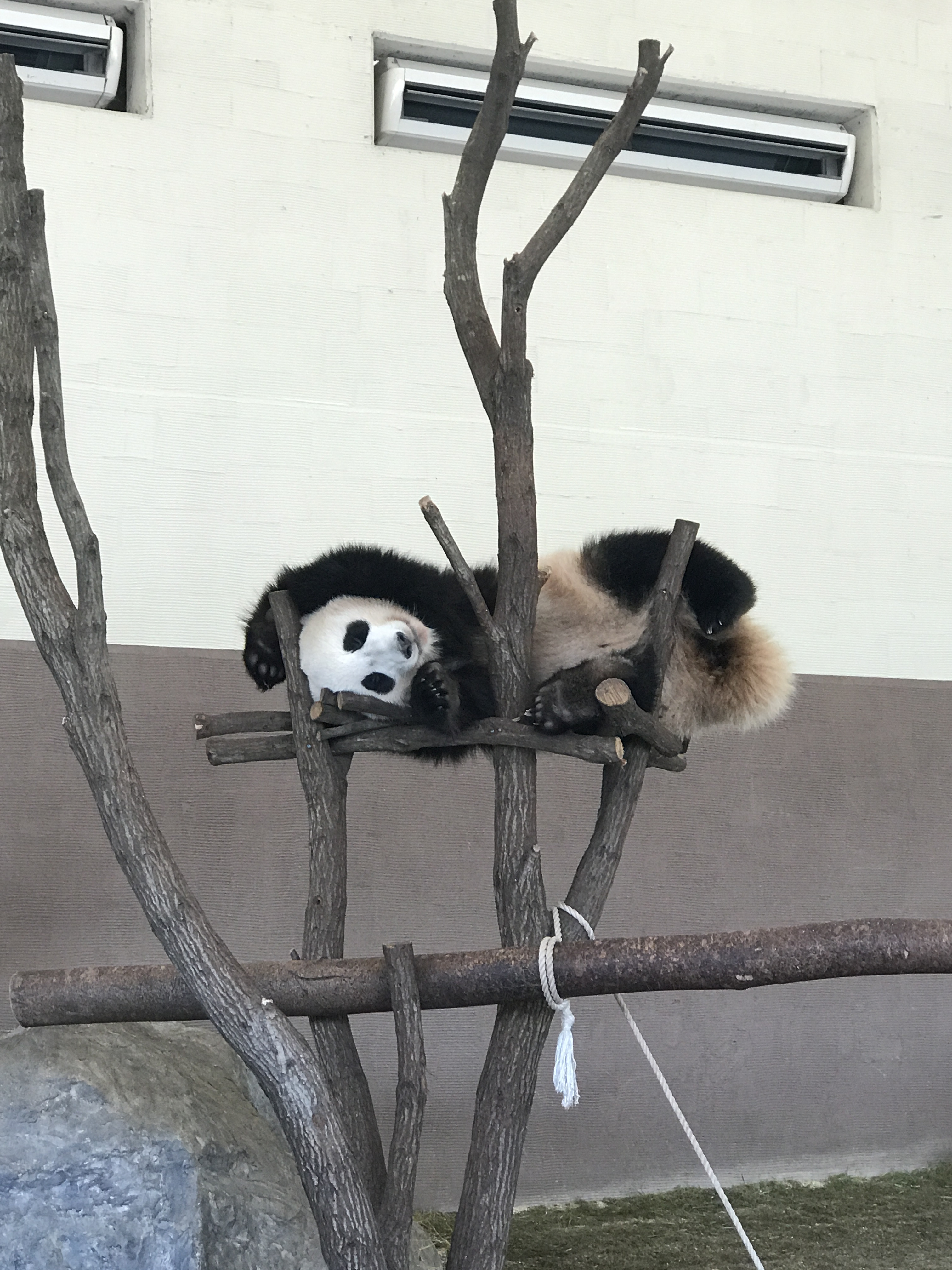 また明日