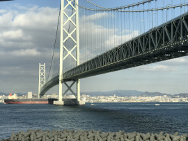 今日は退散