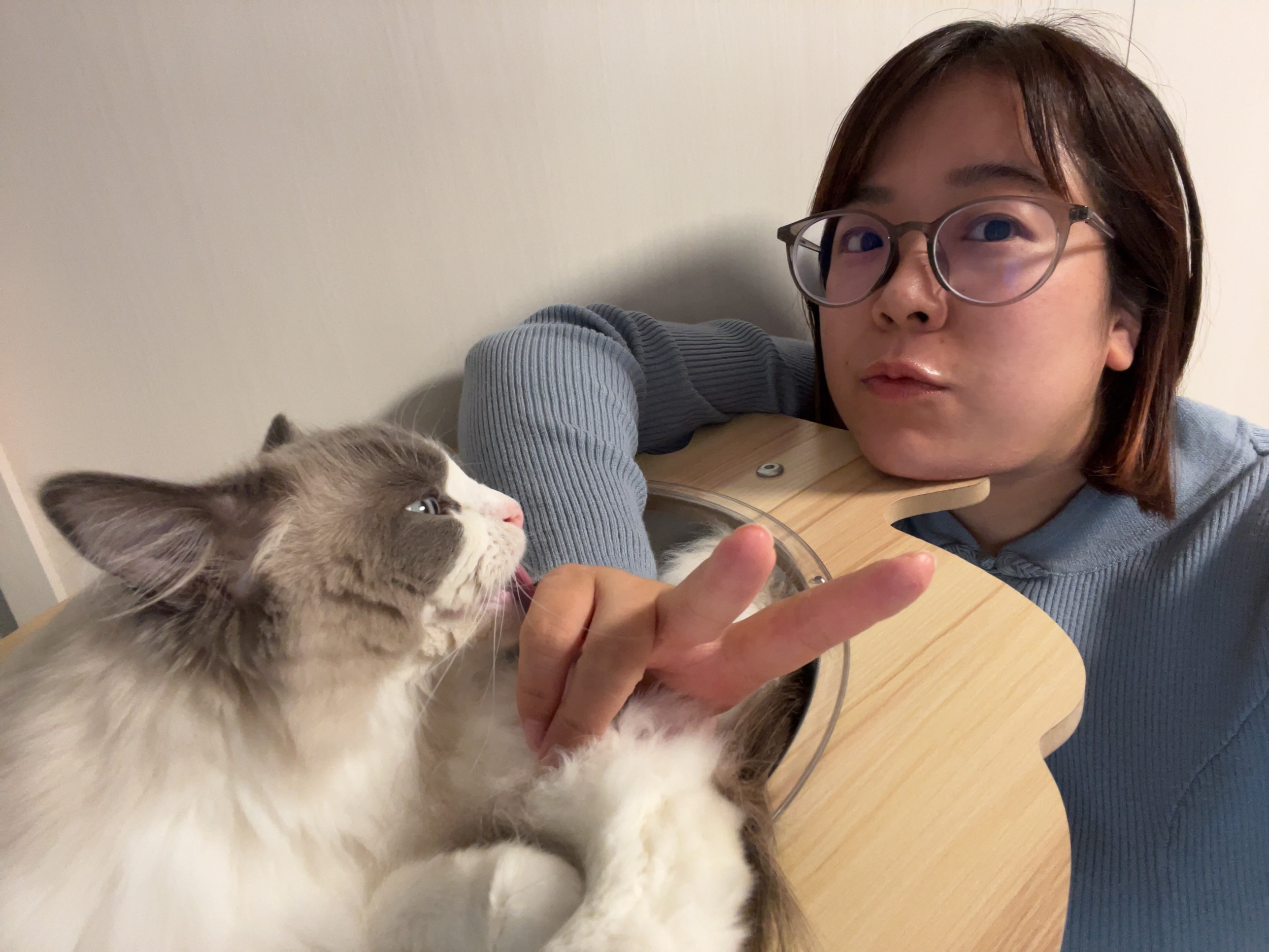 はじめまして
