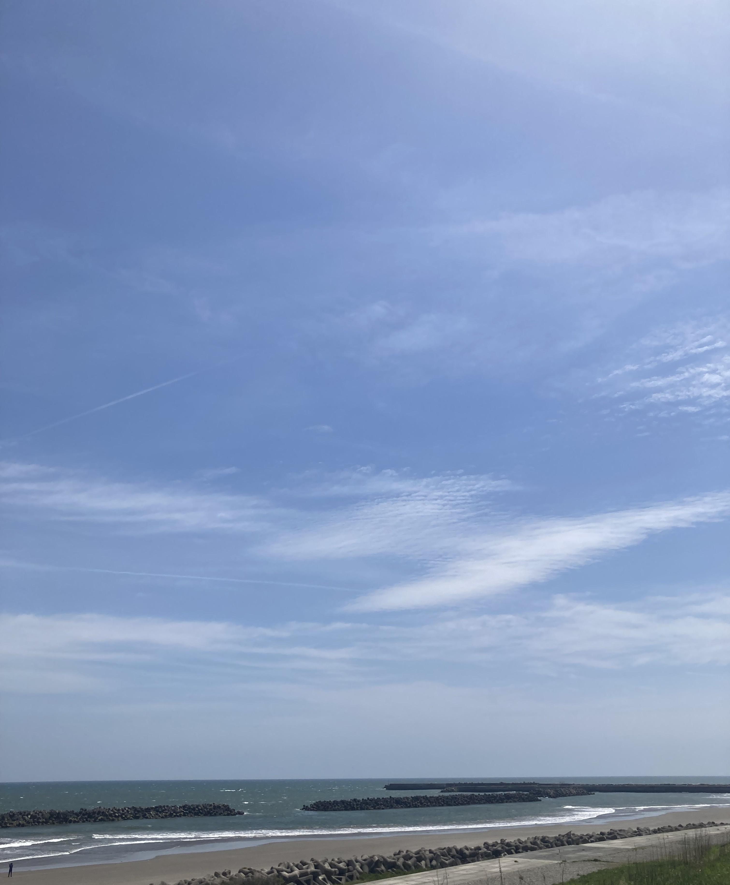 海いったよ〜