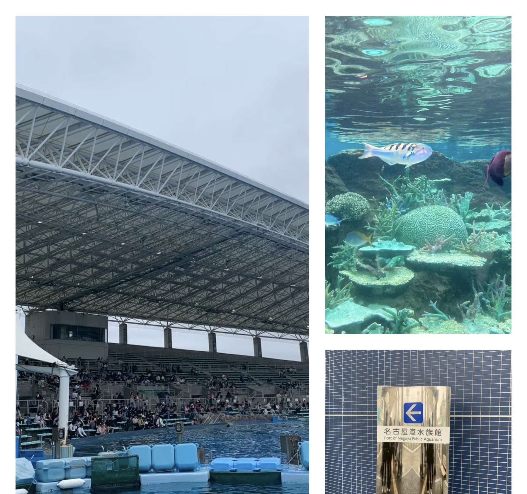 水族館