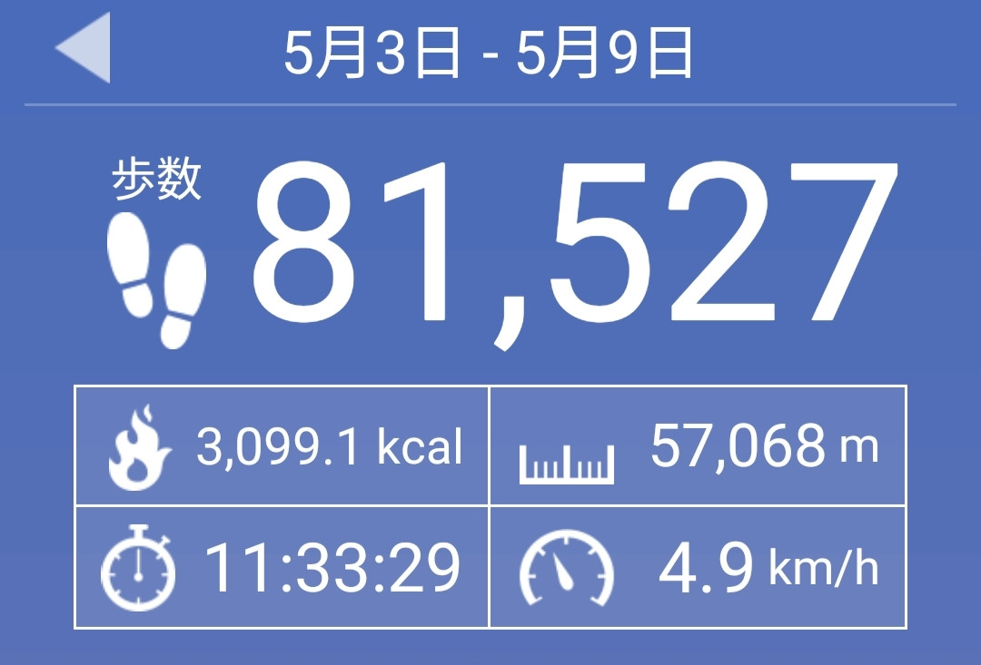 お散歩