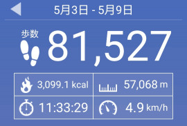 お散歩