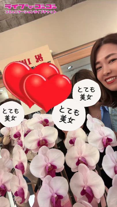 胡蝶蘭サプライズ