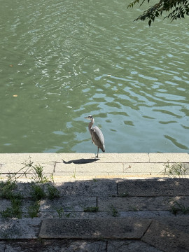 旅行なう?