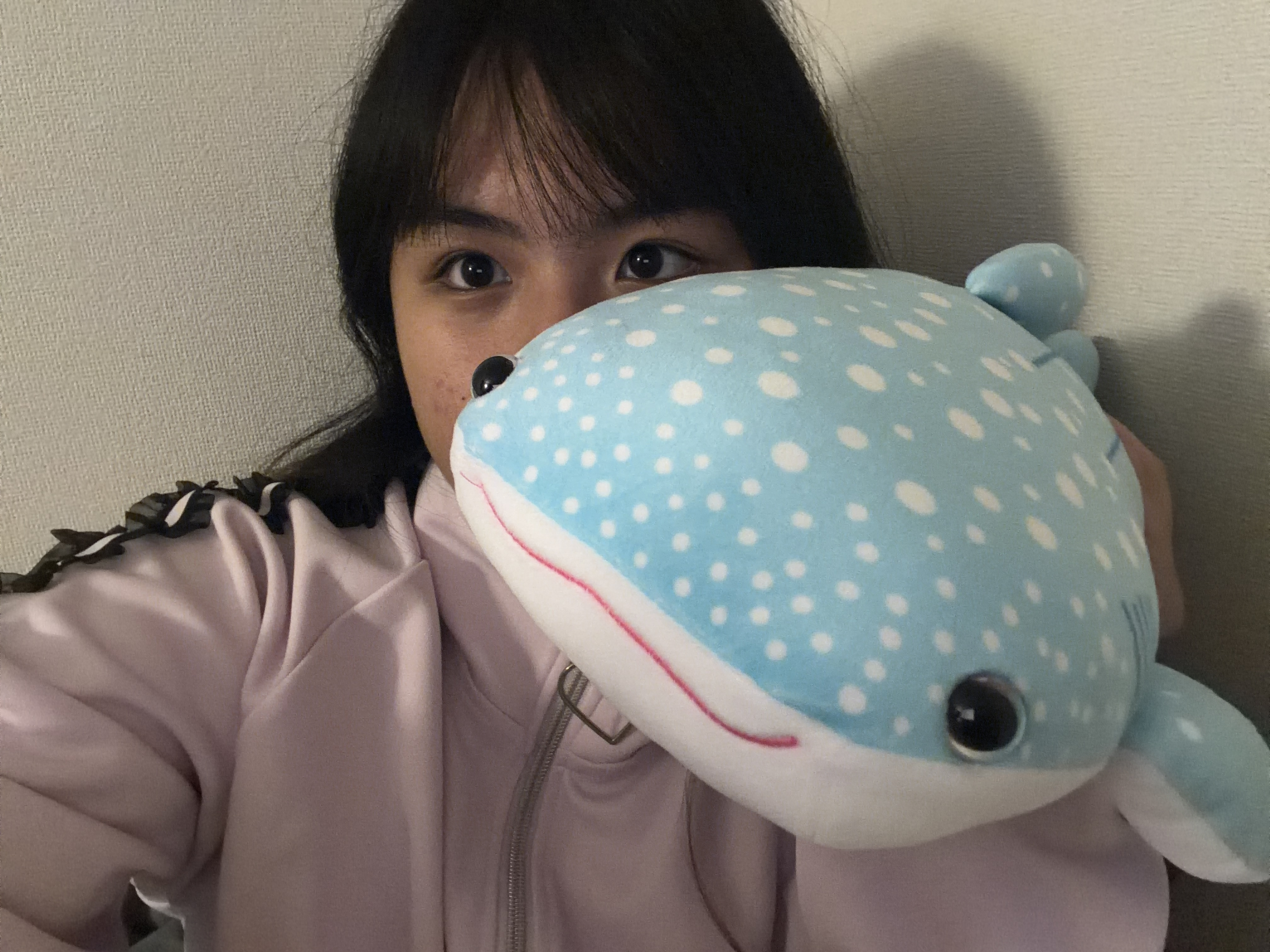 はじめてブログ