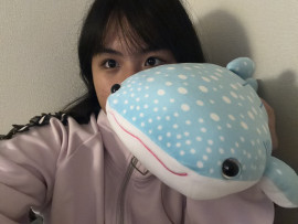 はじめてブログ