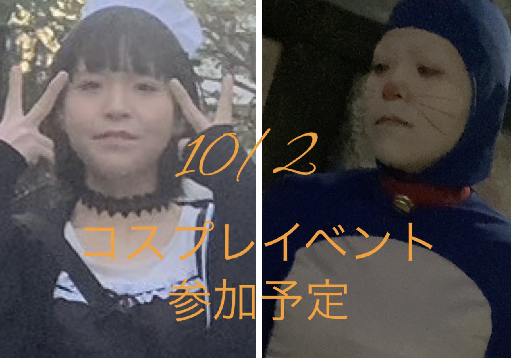 スイレンちゃんの昨日 01:18のブログ