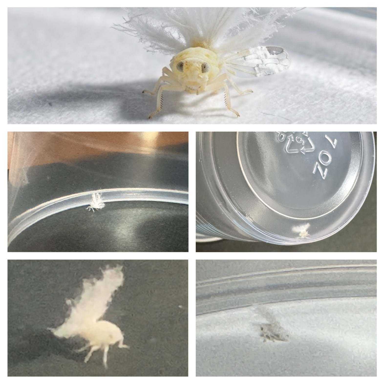 可愛い生き物