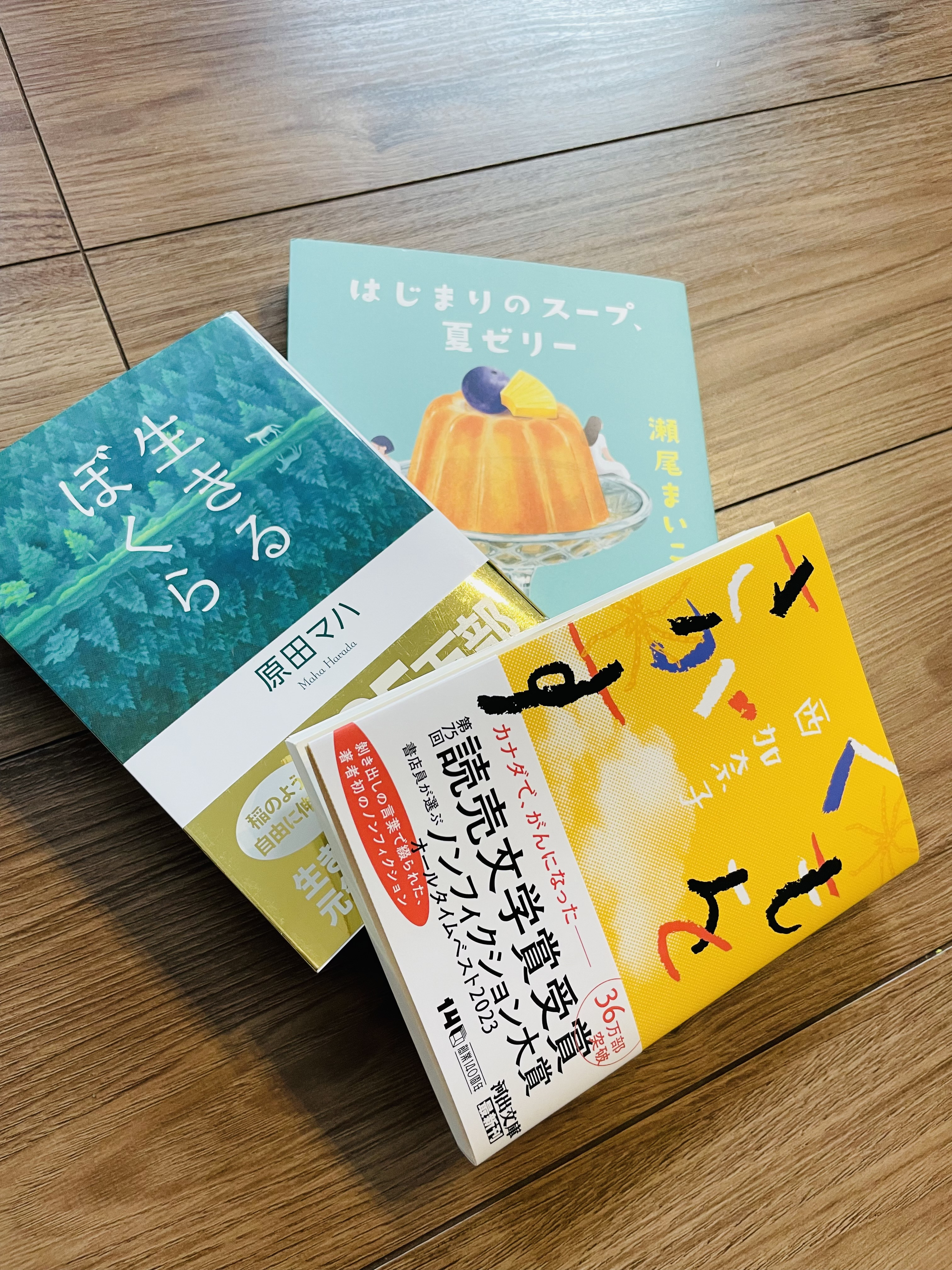 みなこちゃんの昨日 17:29のブログ