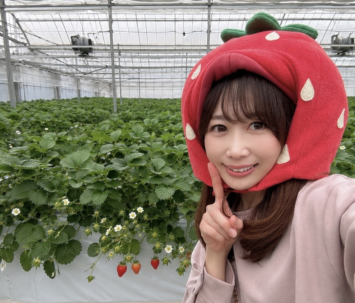 いちご100%がり??