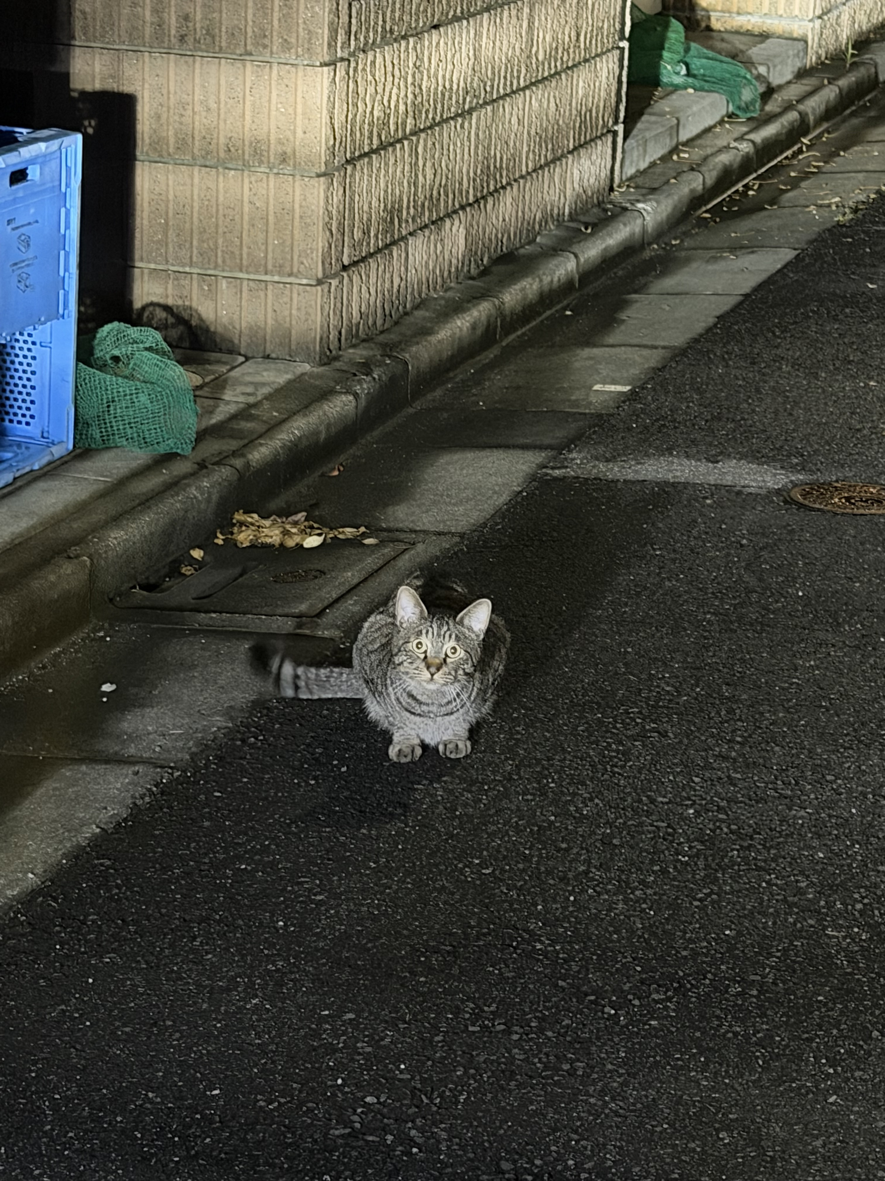 癒されました