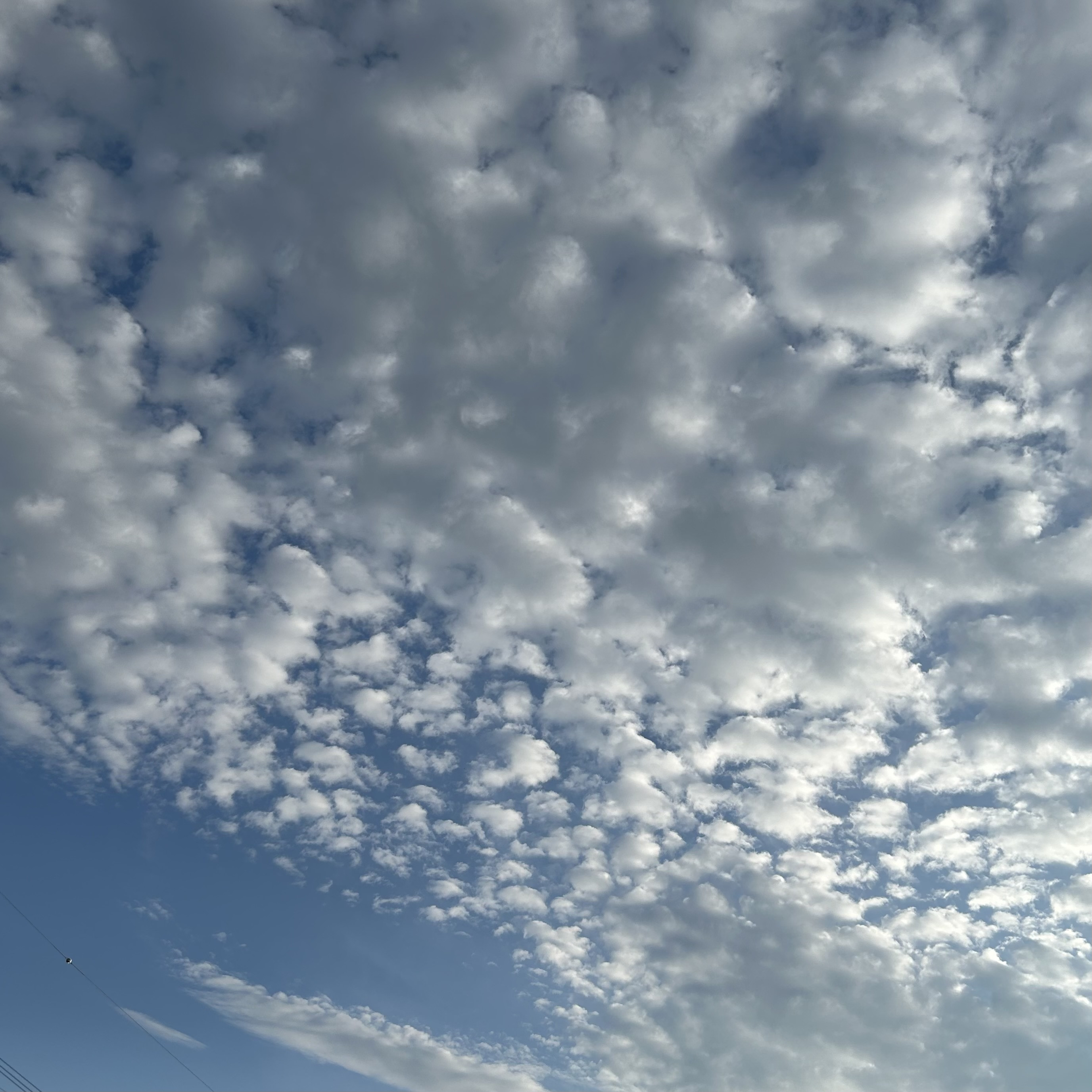 空??
