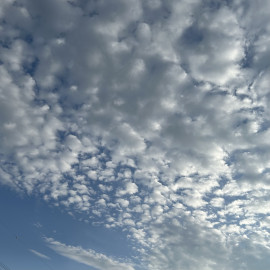 空??