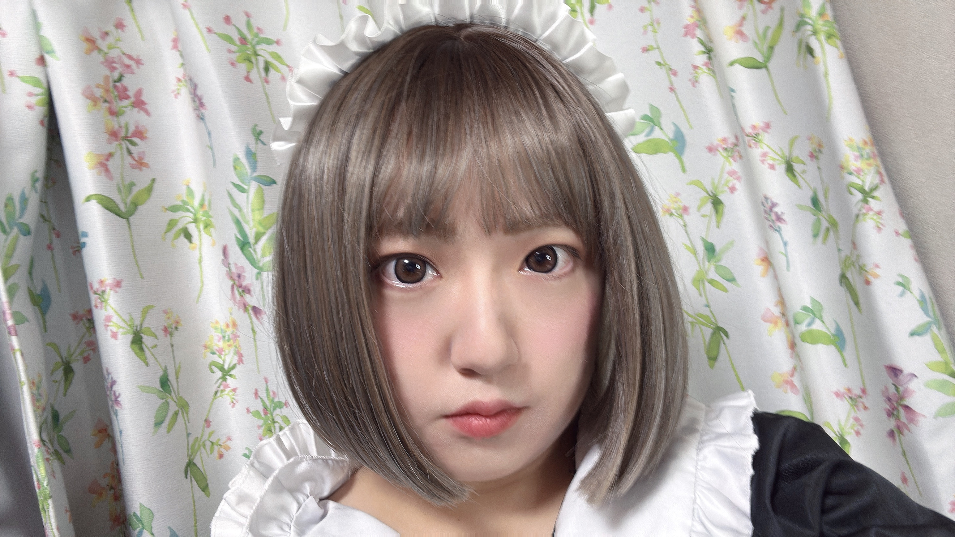 初投稿
