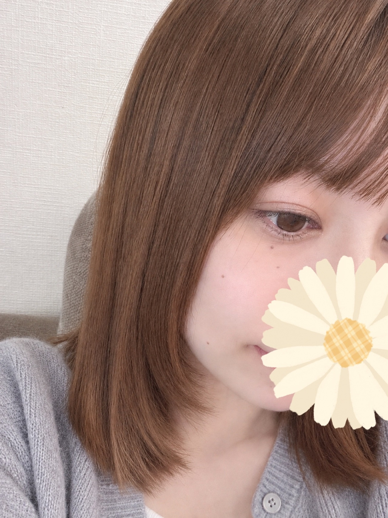 やっほー