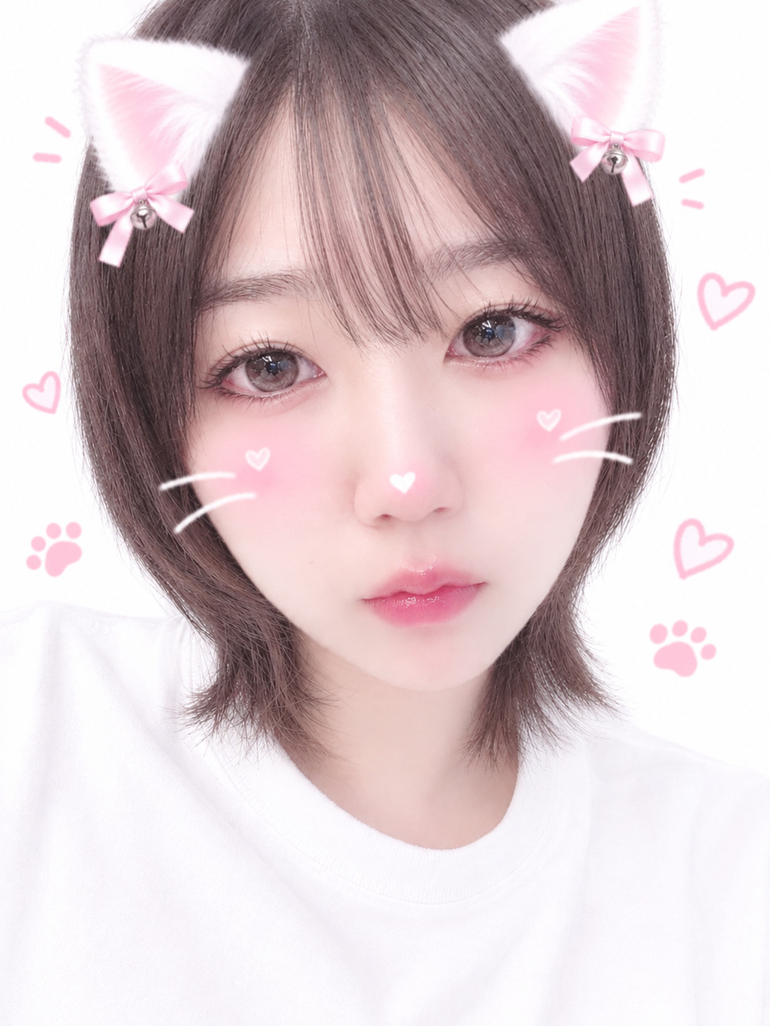 ももちゃんの10/18 (日) 17:17のブログ