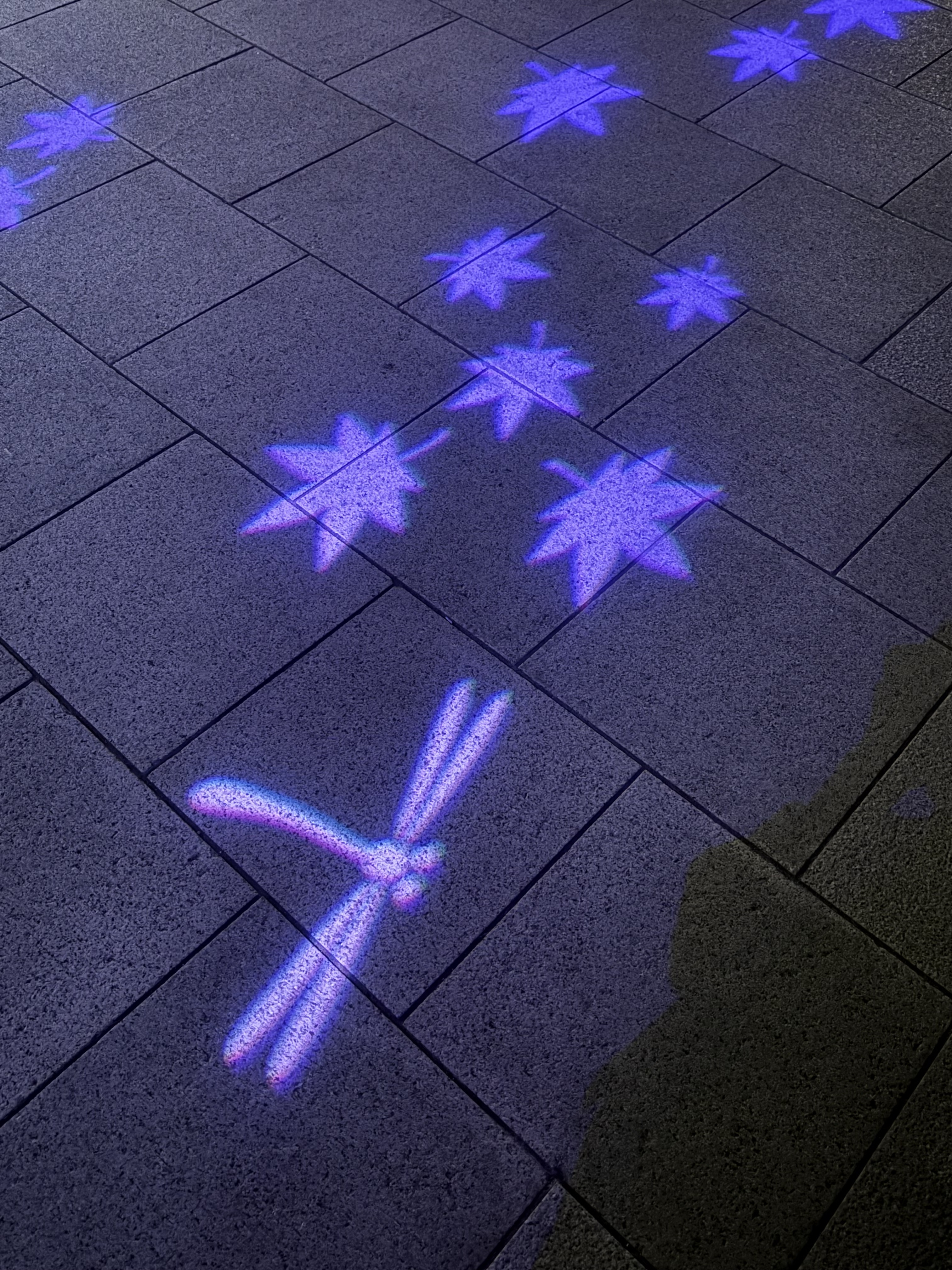 お散歩???(? ˙˘˙ )?
