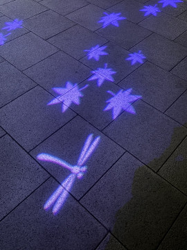 お散歩???(? ˙˘˙ )?