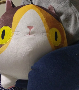 お気に入りのぬいぐるみを紹介します！