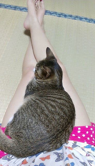 初ぶろぐ！