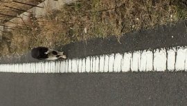 おはようございます。