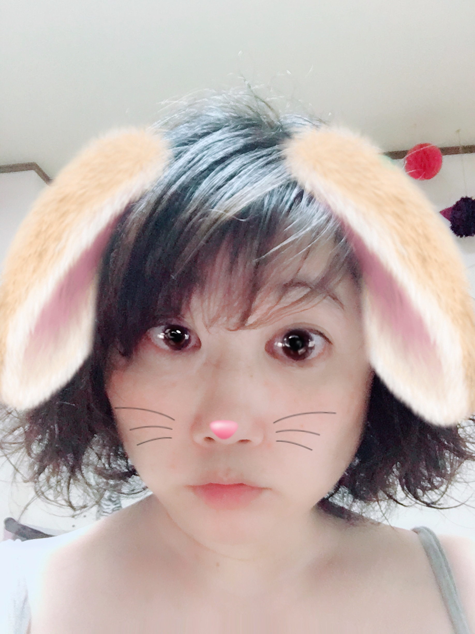 すっごいすっごい久しぶり。