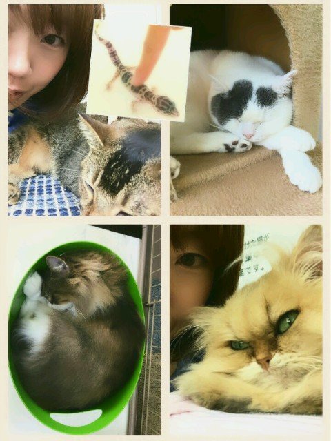 ぬっこぬこ(*˙?˙*)ﾉﾞ