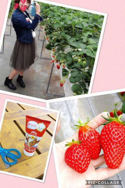 苺ー☆＆55の日予定！！