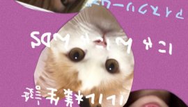 ☆まほまほ☆ちゃんの2017/8/6 (日) 13:04のブログ