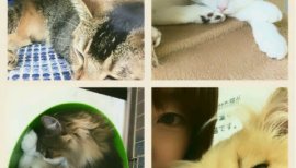 ☆まほまほ☆ちゃんの2016/8/14 (日) 22:54のブログ