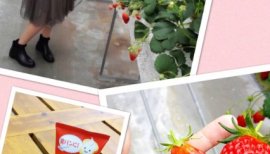 ☆まほまほ☆ちゃんの2017/5/4 (木) 03:28のブログ