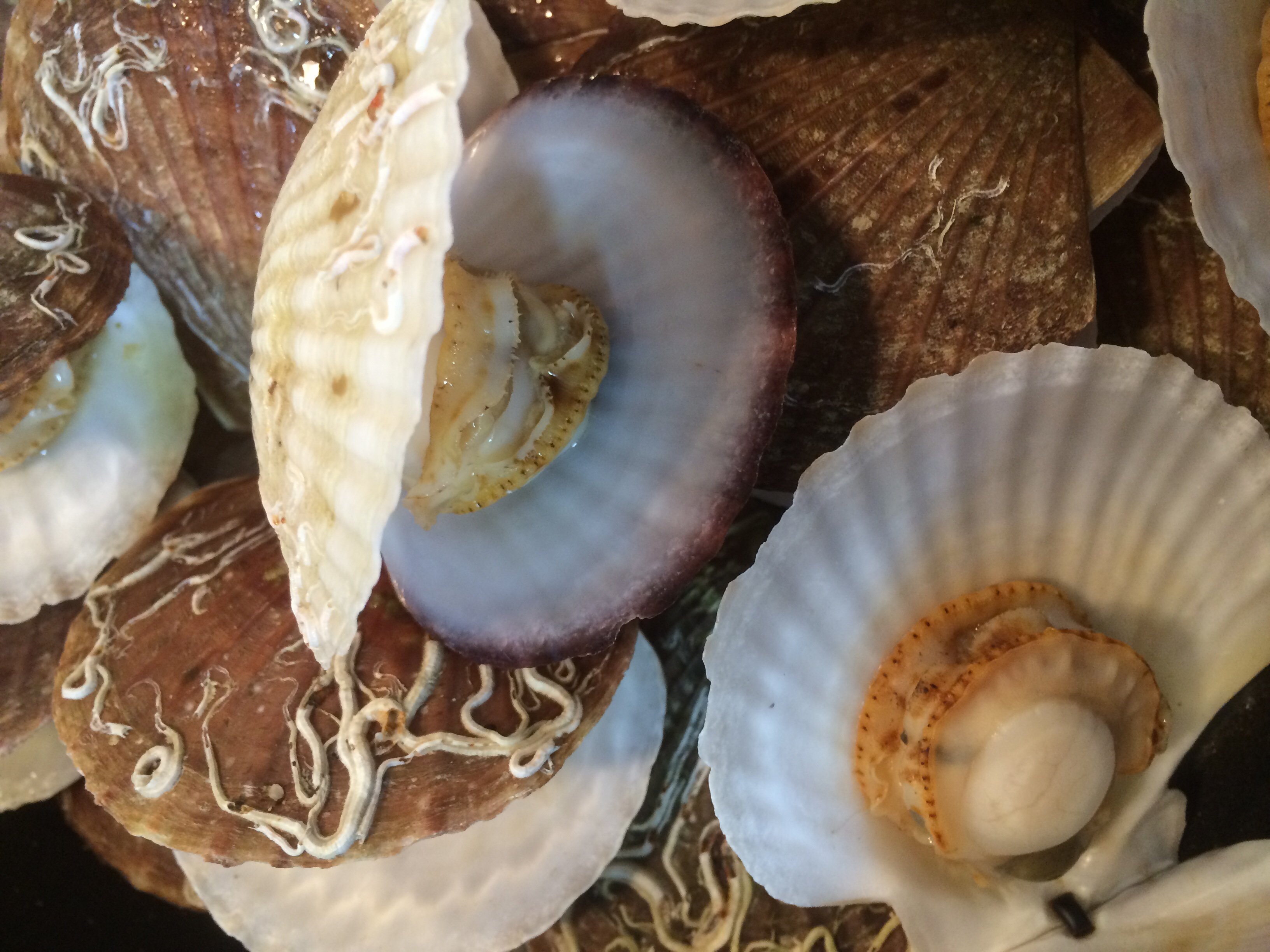 里瀬＊リゼちゃんの2014/10/17 (金) 01:39のブログ