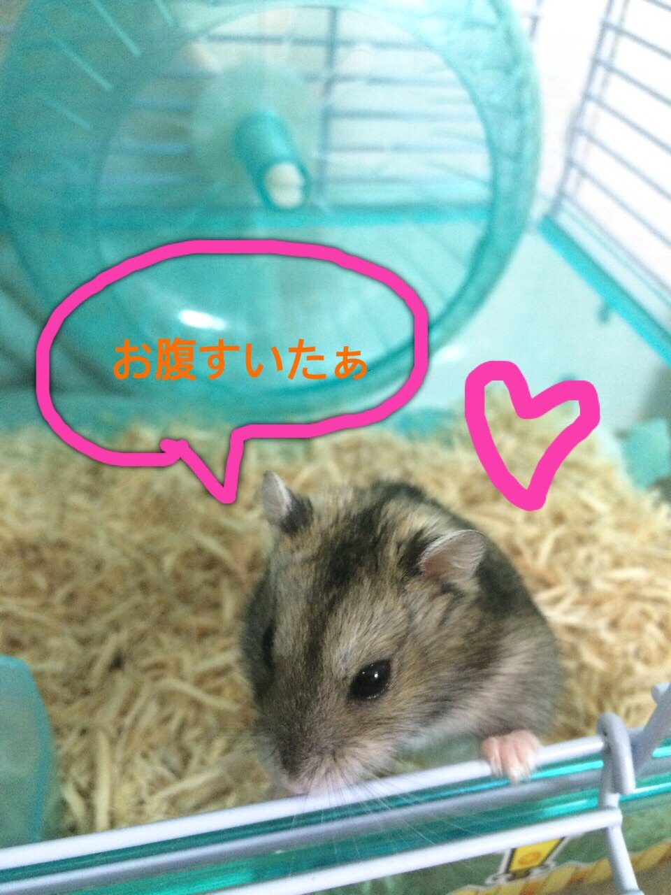 まさかイヤホンが。。