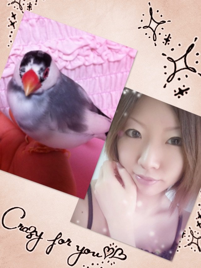 ☆ペット自慢☆