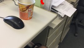 美麗つばきちゃんの2017/4/13 (木) 08:23のブログ