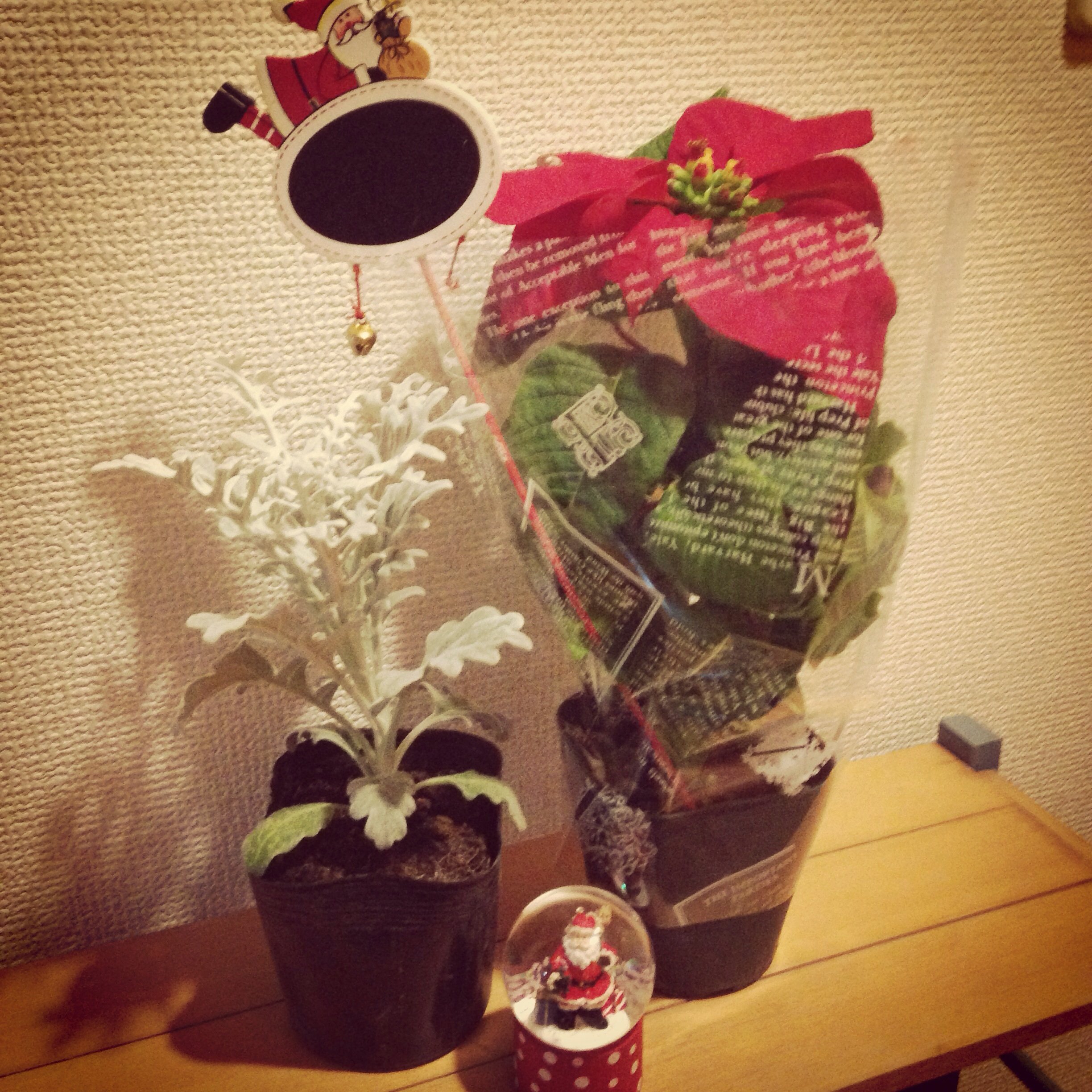 ティナちゃんちゃんの2014/11/7 (金) 20:51のブログ