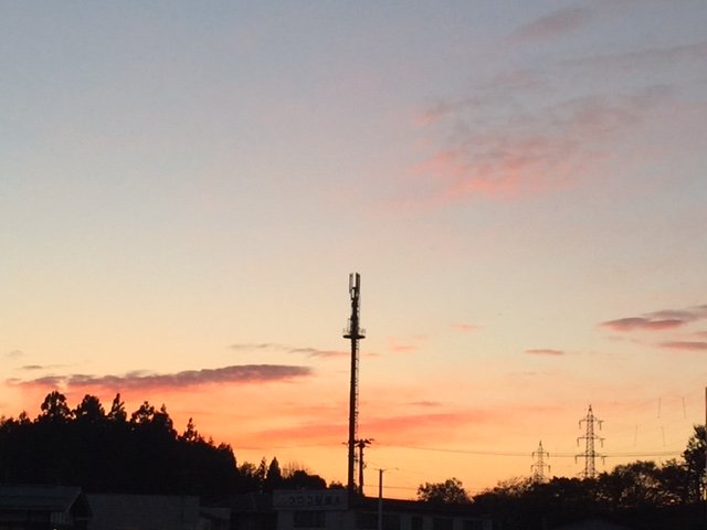 綺羅々ちゃんの2014/11/20 (木) 20:45のブログ