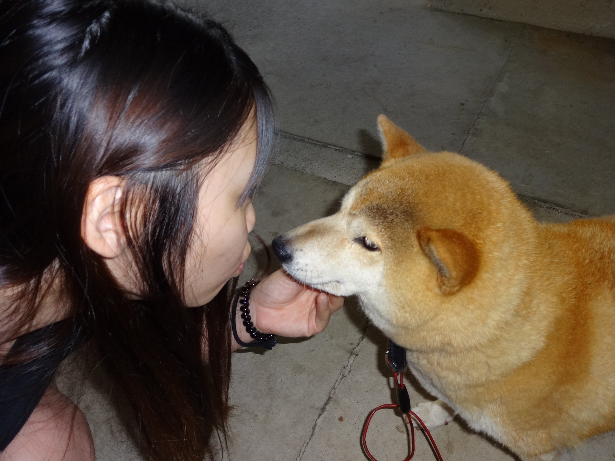 寝起きの綺羅同じ