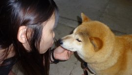 綺羅々ちゃんの2015/3/30 (月) 03:42のブログ