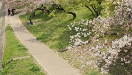 かなちびちゃんの2016/4/11 (月) 17:00のブログ