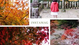 かなちびちゃんの2016/11/25 (金) 12:30のブログ