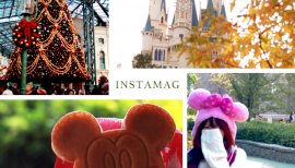 かなちびちゃんの2016/11/16 (水) 13:29のブログ