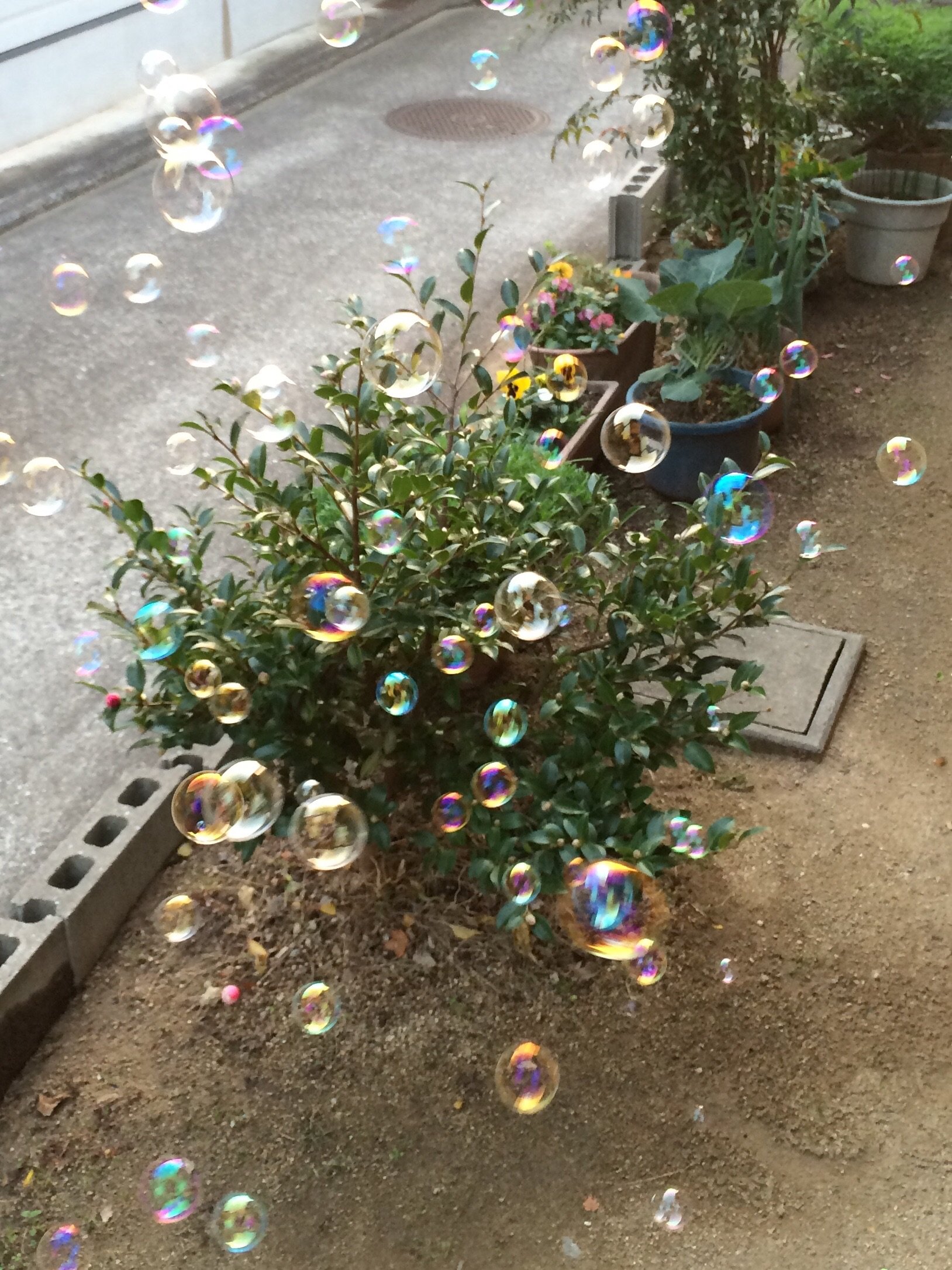 ぁこちゃんの2014/12/13 (土) 16:21のブログ