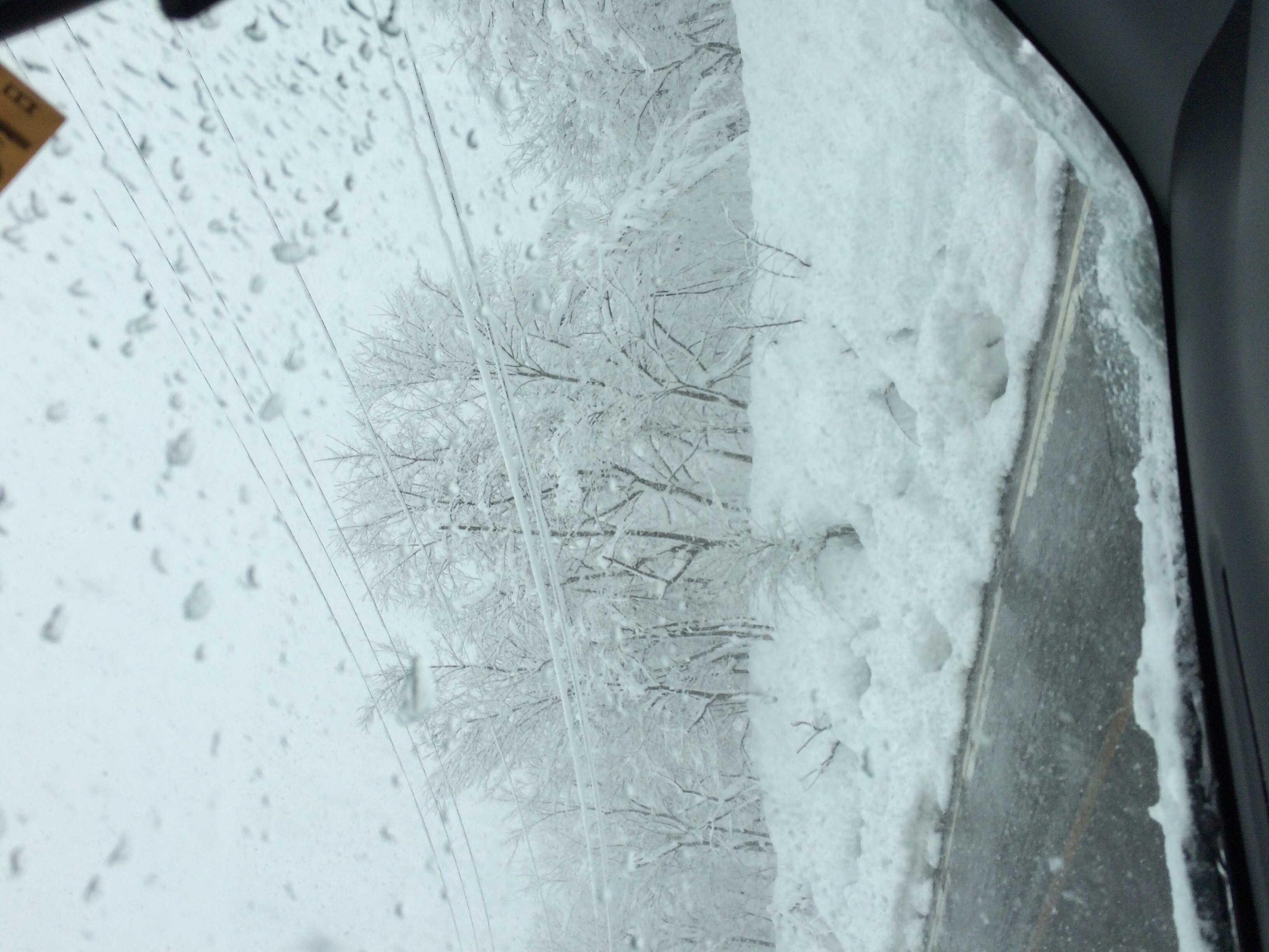 柚ちゃんちゃんの2015/1/6 (火) 01:59のブログ