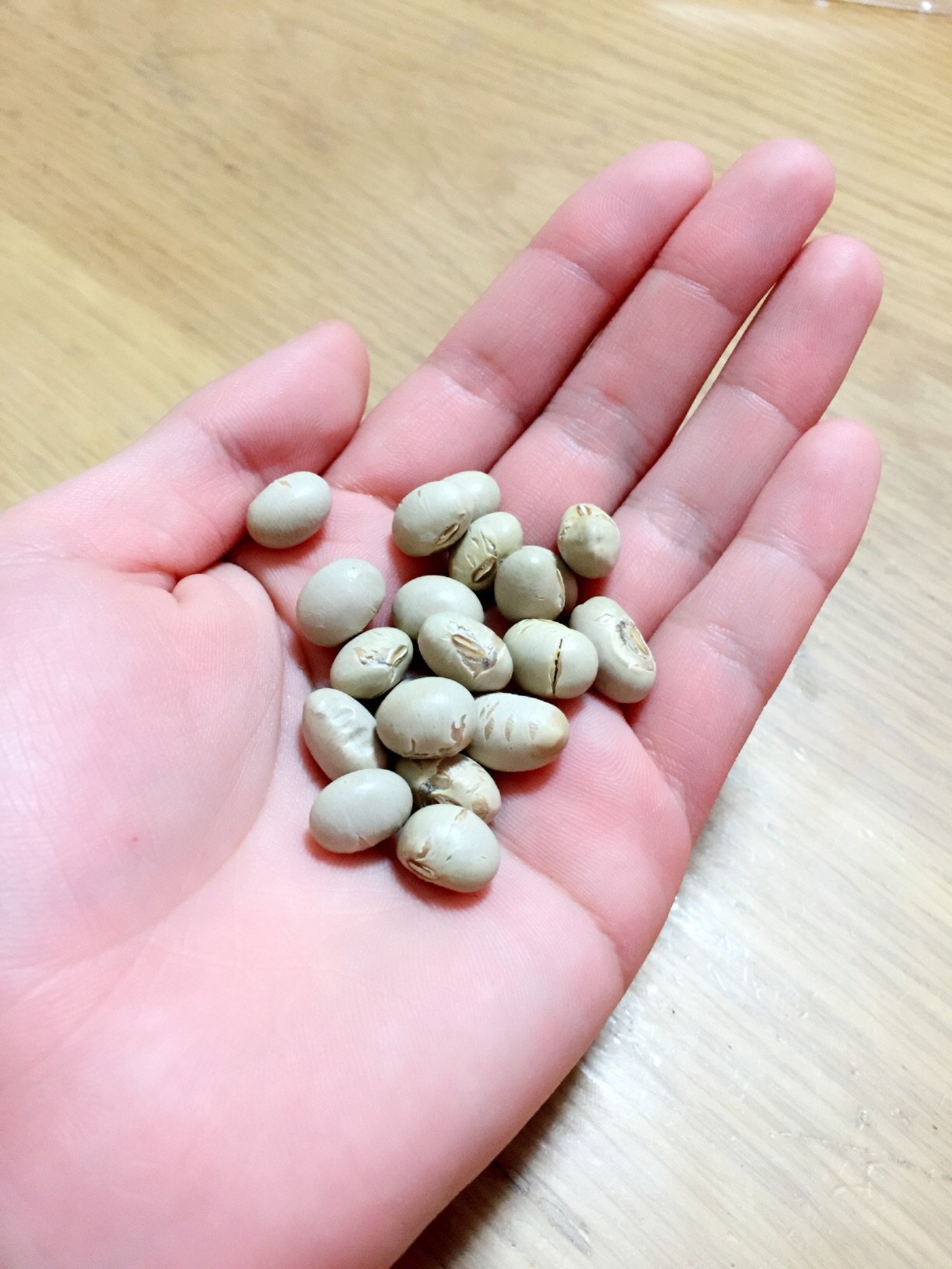 にゃん吉ちゃんの2015/2/3 (火) 21:23のブログ