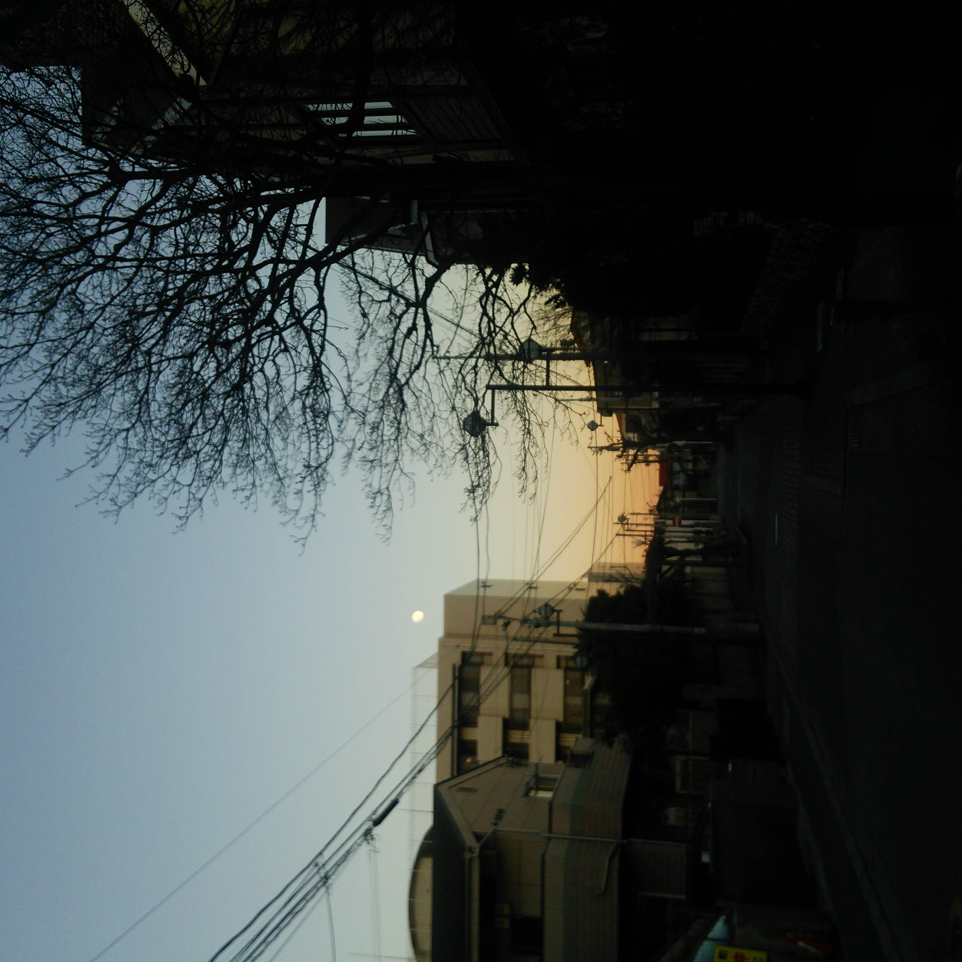 ☆ななぞう☆ちゃんの2015/1/4 (日) 21:38のブログ